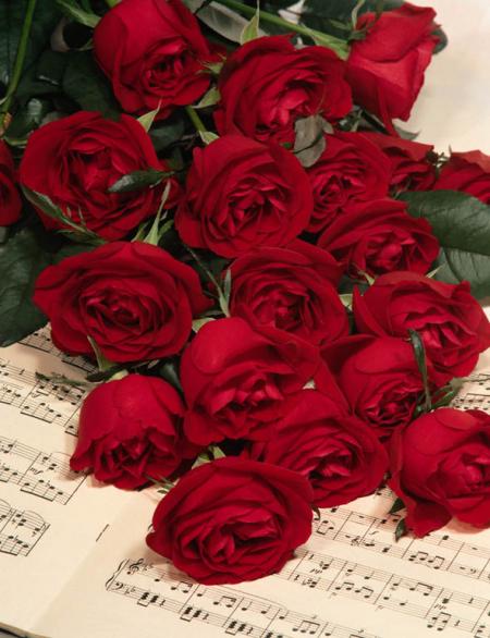 bouquet de fleure pr .........................;